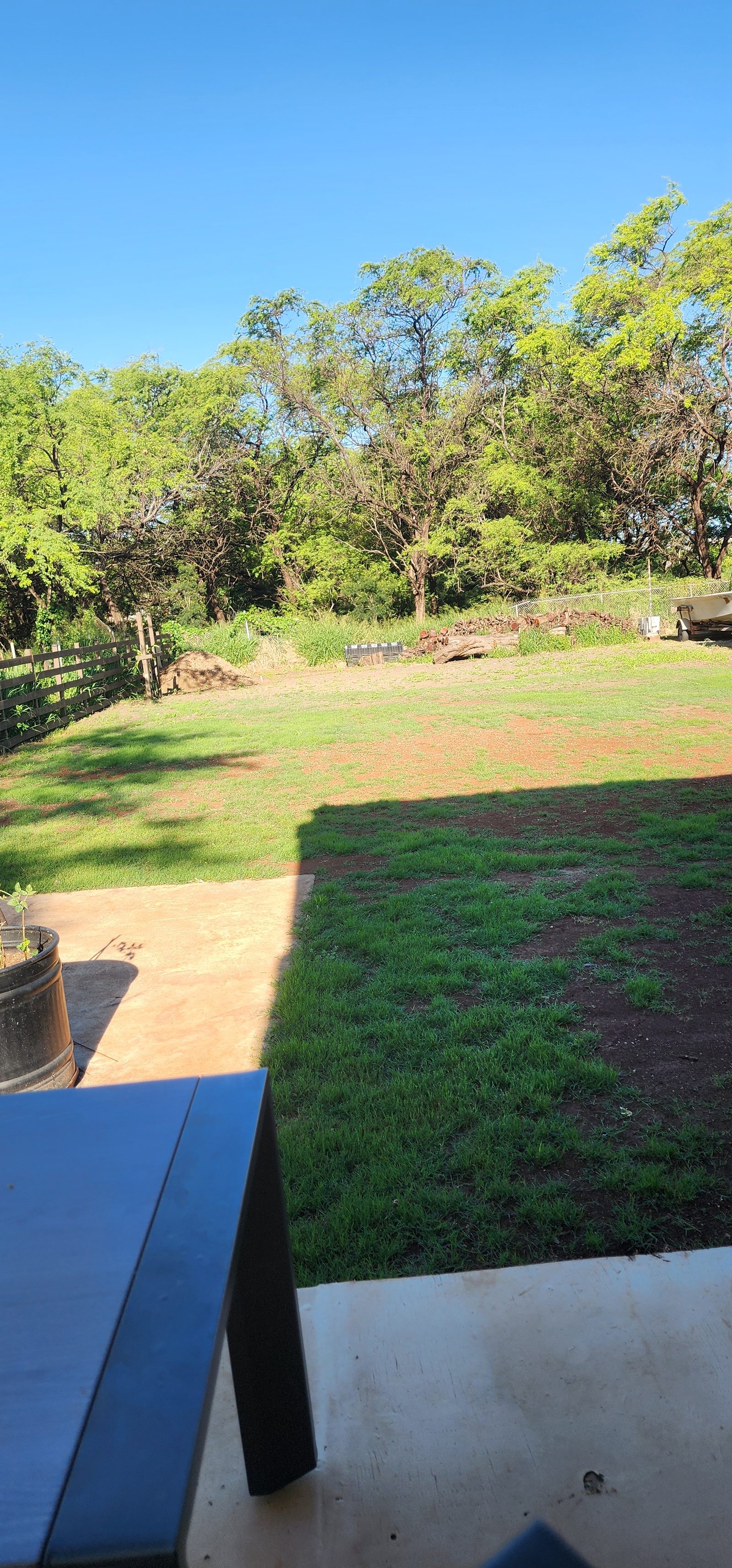 Restored lawn area, 2026